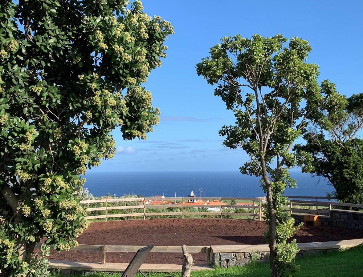 Patio Ecolodge Cedros Dış mekan fotoğraf